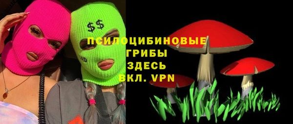 2c-b Михайловск