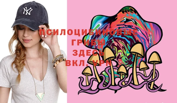2c-b Михайловск