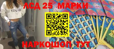 шишки Донской