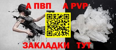 шишки Донской