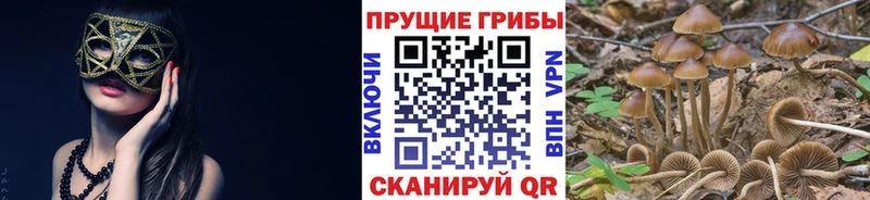 Псилоцибиновые грибы мухоморы хочу наркоту Норильск