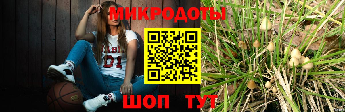 где купить наркоту  Галлюциногенные грибы Cubensis  Норильск  Псилоцибиновые грибы MAGIC MUSHROOMS 