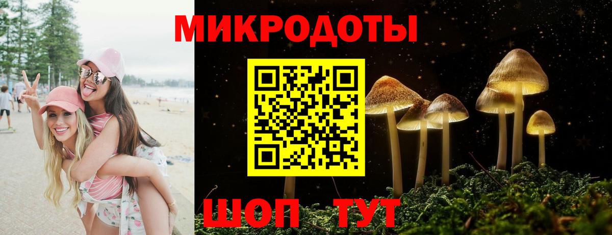 Псилоцибиновые грибы Cubensis Норильск